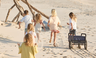 Introducing Easterly